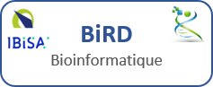 BiRD bioinformatique