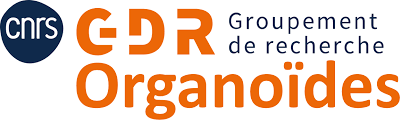 logo gdr organoïde