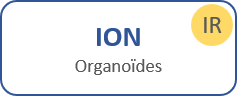 ION organoïdes
