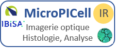 MicroPICell imagerie optique histologie analyses