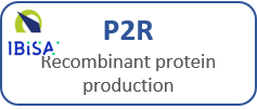 accès présentation P2R